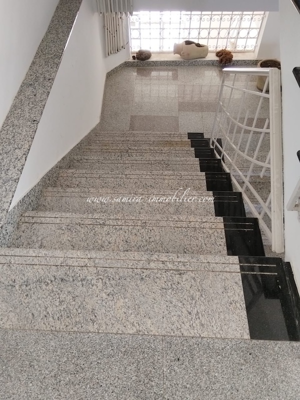 ceca6d15-4d00-4bbb-b7df-d45da447899e.JPG